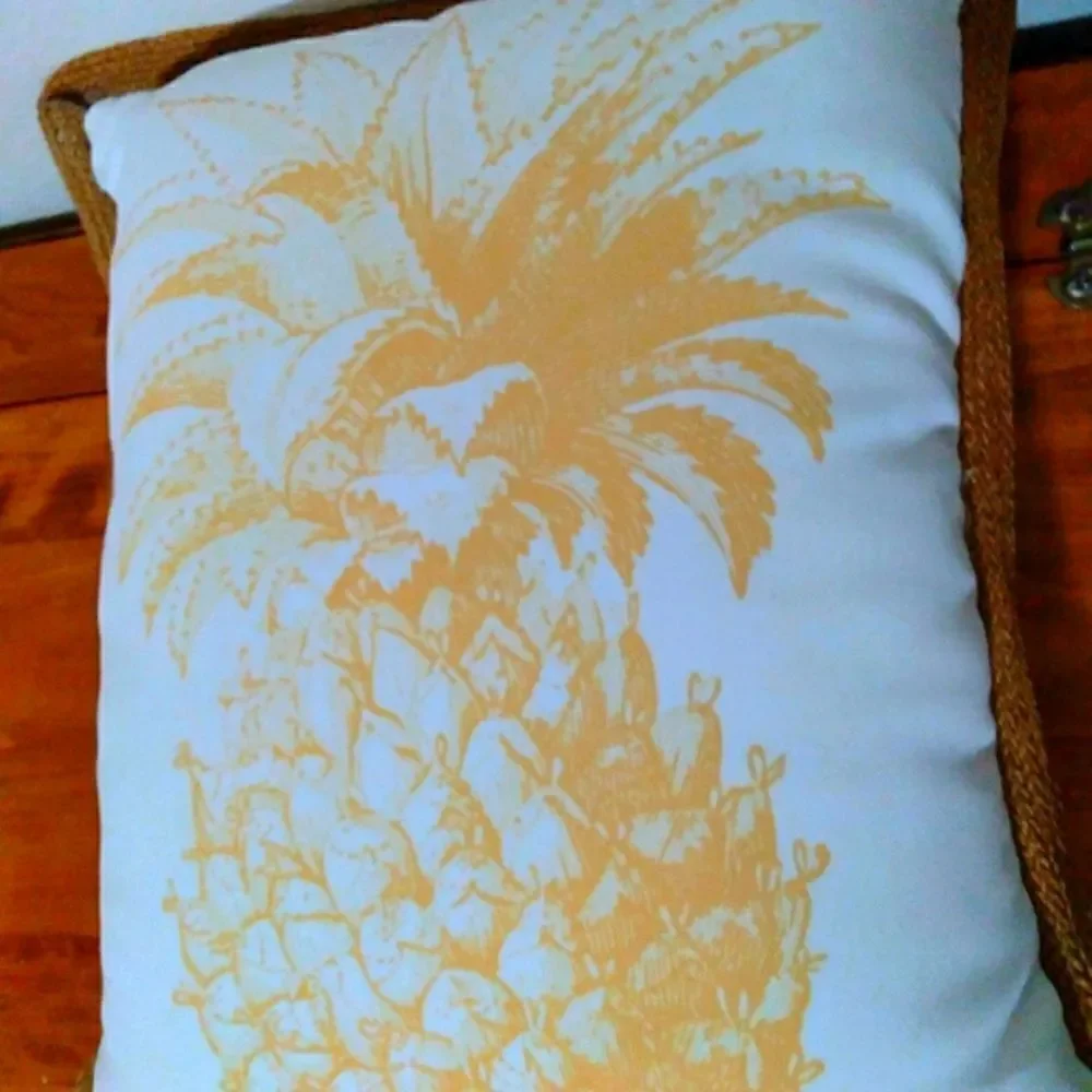 Pinnaple Print Accent Decor Pillow